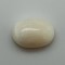 White Coral (Safed Moonga)  6.16 Ct Certified